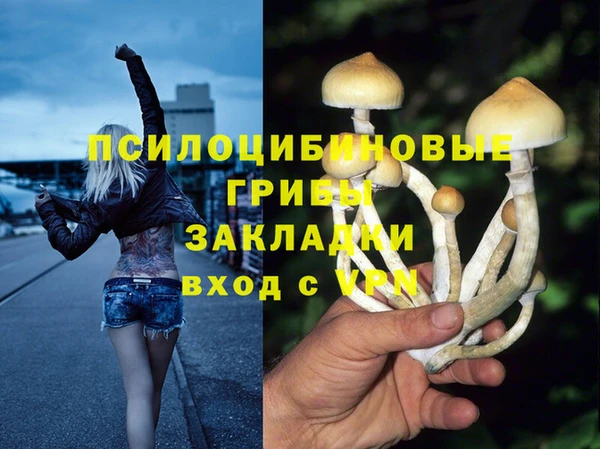 гашик Лагань