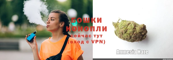 гашик Лагань